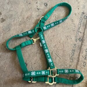 4h halter oversized